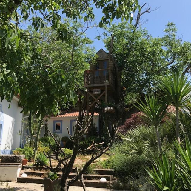 Casa Oliva - Casa Da Serra Porto de Mós Dış mekan fotoğraf