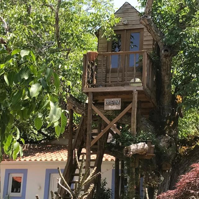 Casa Oliva - Casa Da Serra Porto de Mós Dış mekan fotoğraf
