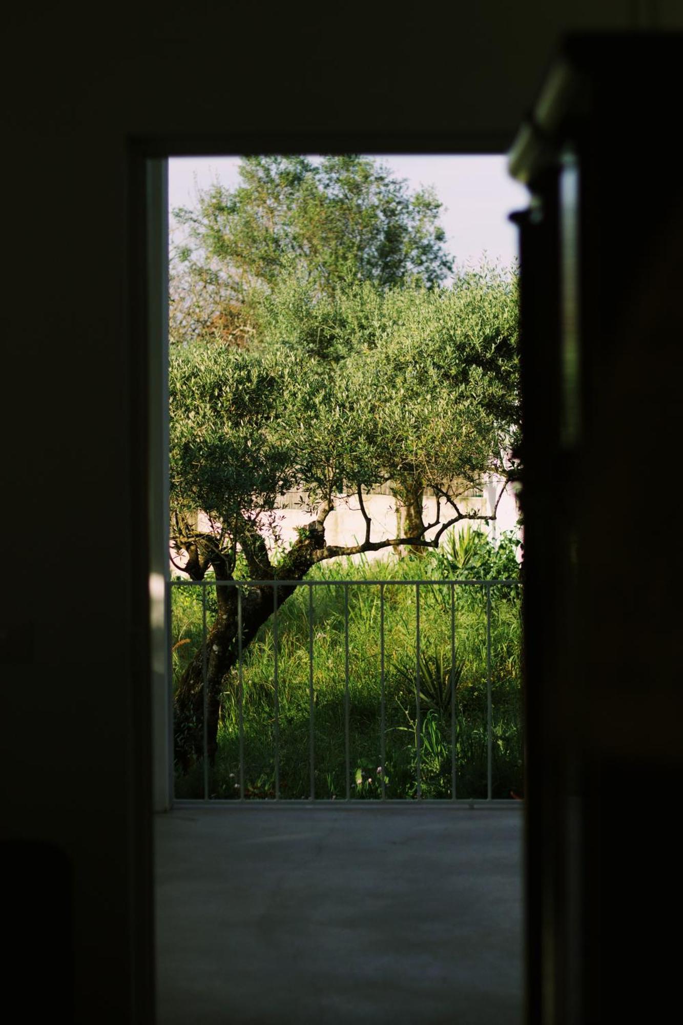 Casa Oliva - Casa Da Serra Porto de Mós Dış mekan fotoğraf